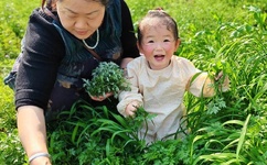 羞羞漫画页面免费入口页面弹秋蝉